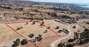 Residential field in Pegeia, Paphos