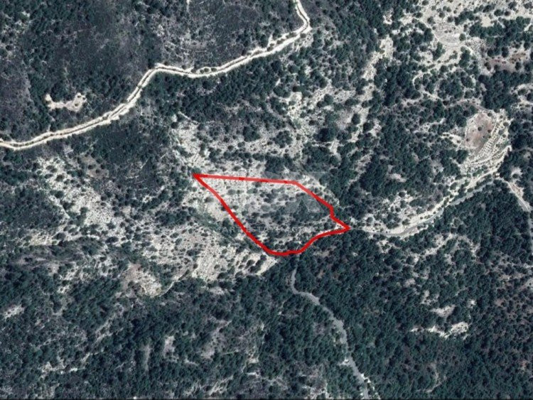 Land For Sale In Arminou Paphos Cyprus