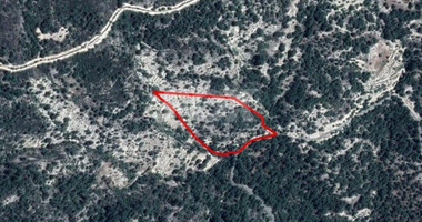 Land For Sale In Arminou Paphos Cyprus