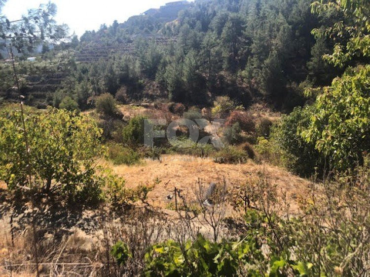 Land For Sale In Kyperounta Limassol Cyprus