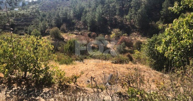 Land For Sale In Kyperounta Limassol Cyprus