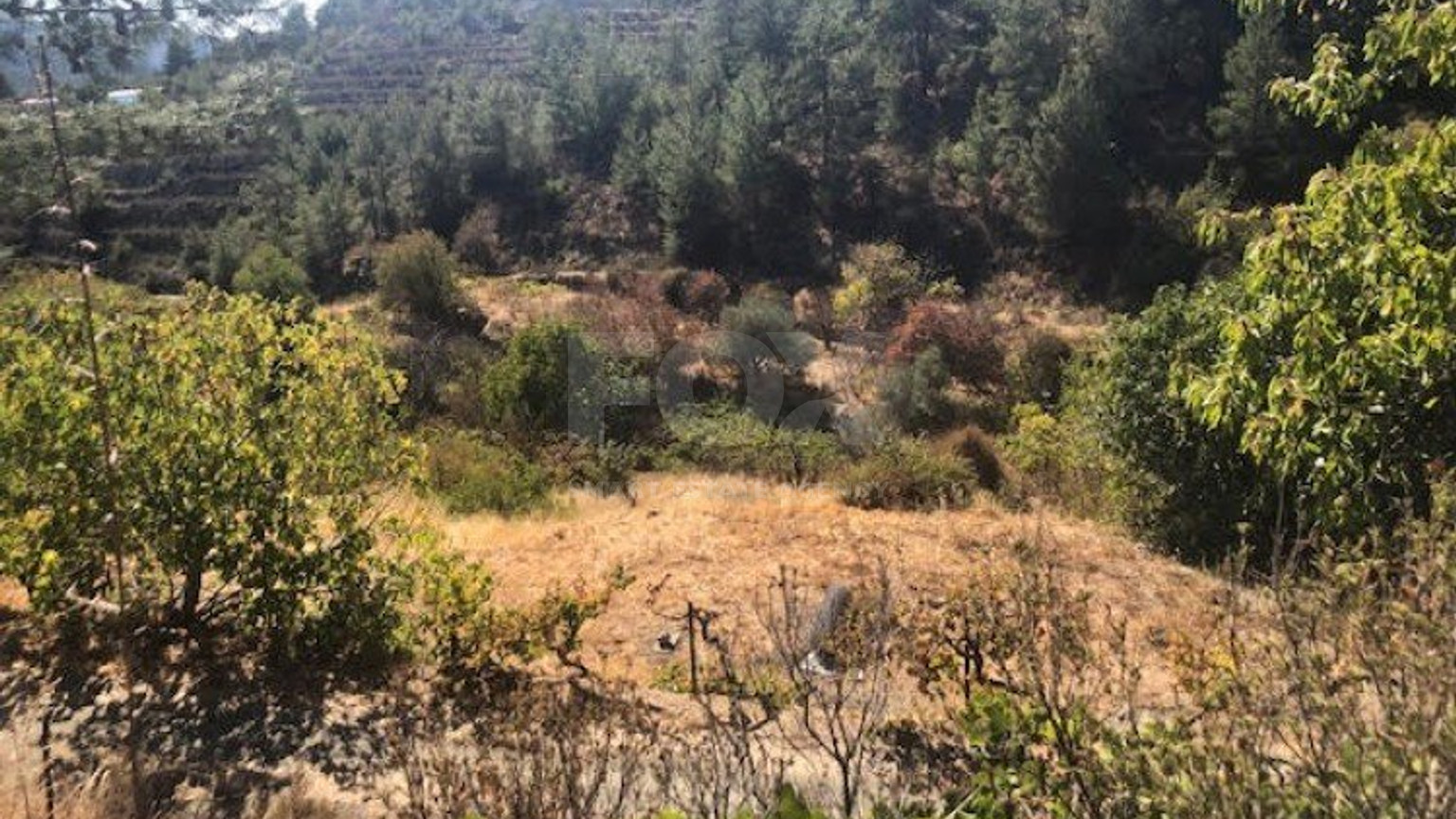 Land For Sale In Kyperounta Limassol Cyprus