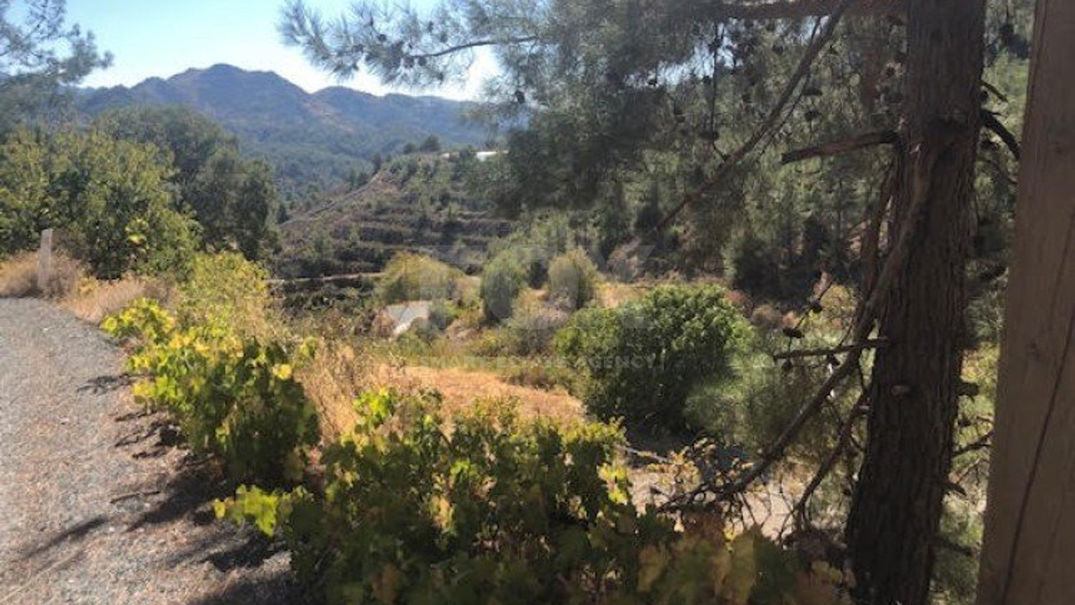 Land For Sale In Kyperounta Limassol Cyprus
