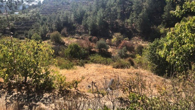 Land For Sale In Kyperounta Limassol Cyprus