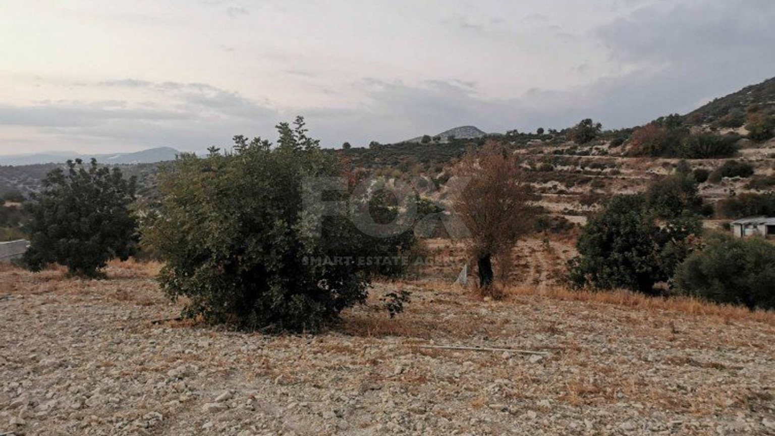 Plot For Sale In Pachna Limassol Cyprus