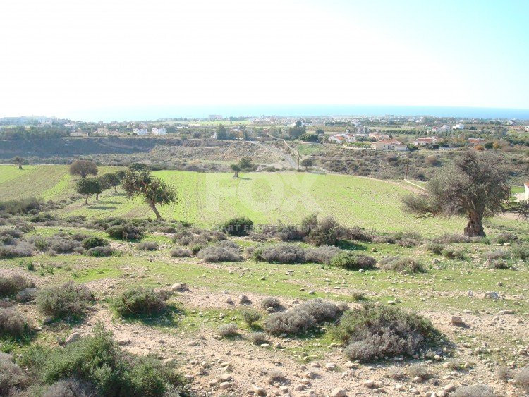 Land For Sale In Pegeia Paphos Cyprus