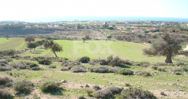 Land For Sale In Pegeia Paphos Cyprus