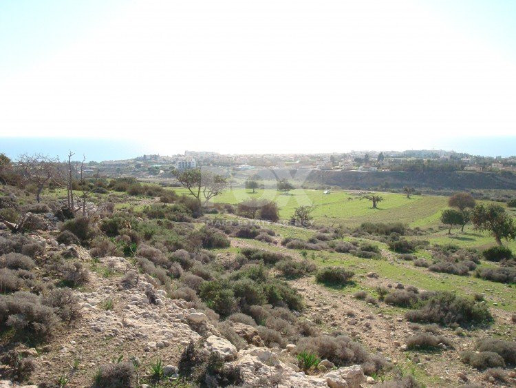Land For Sale In Pegeia Paphos Cyprus