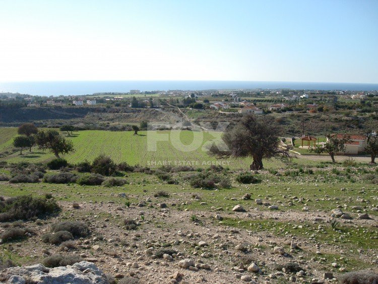 Land For Sale In Pegeia Paphos Cyprus