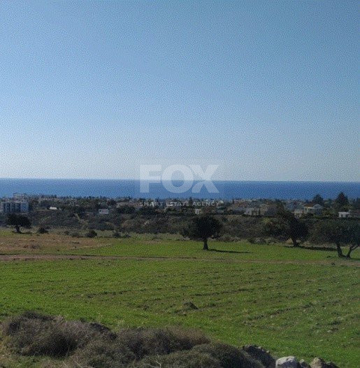 Land For Sale In Pegeia Paphos Cyprus