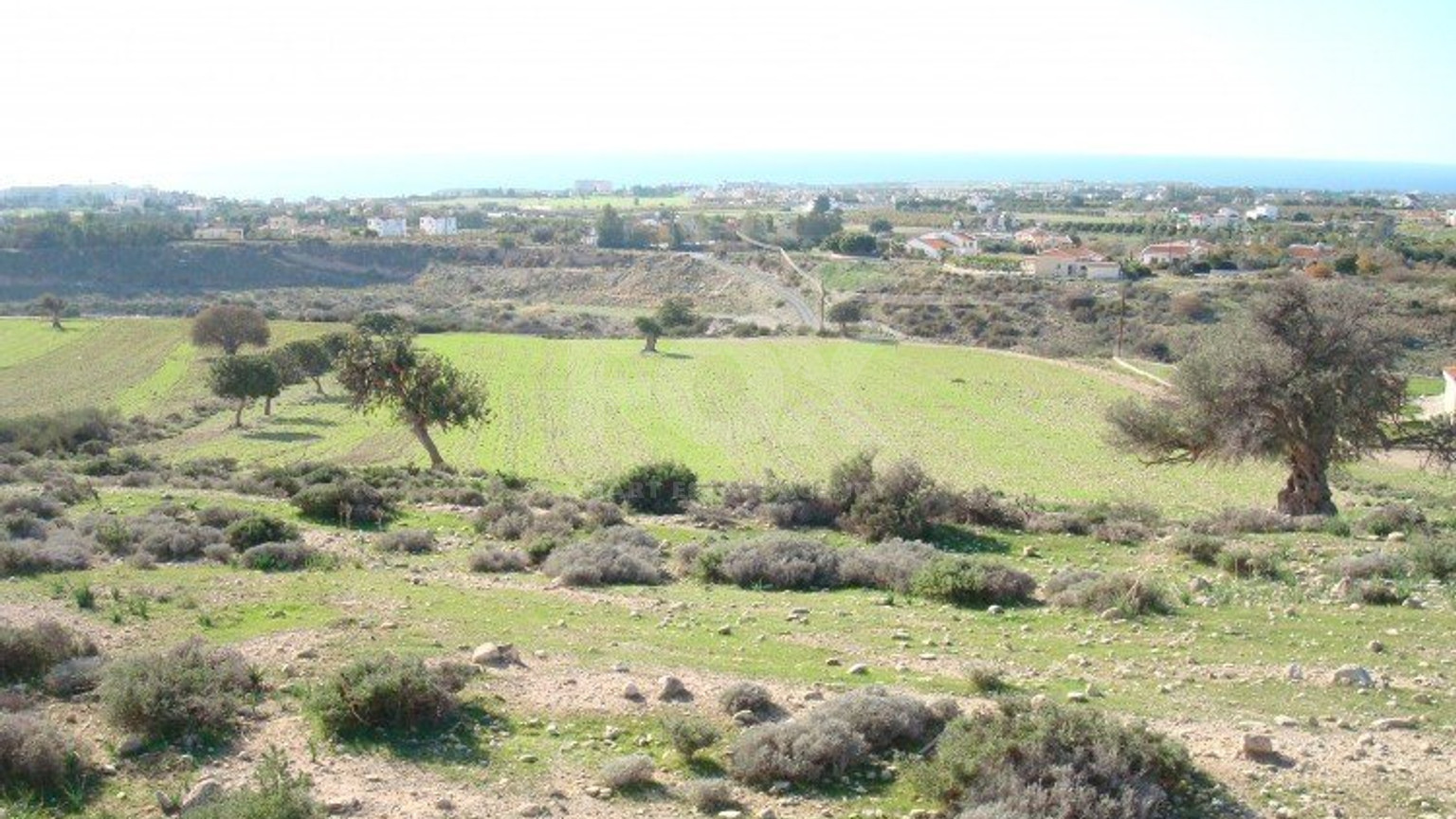 Land For Sale In Pegeia Paphos Cyprus