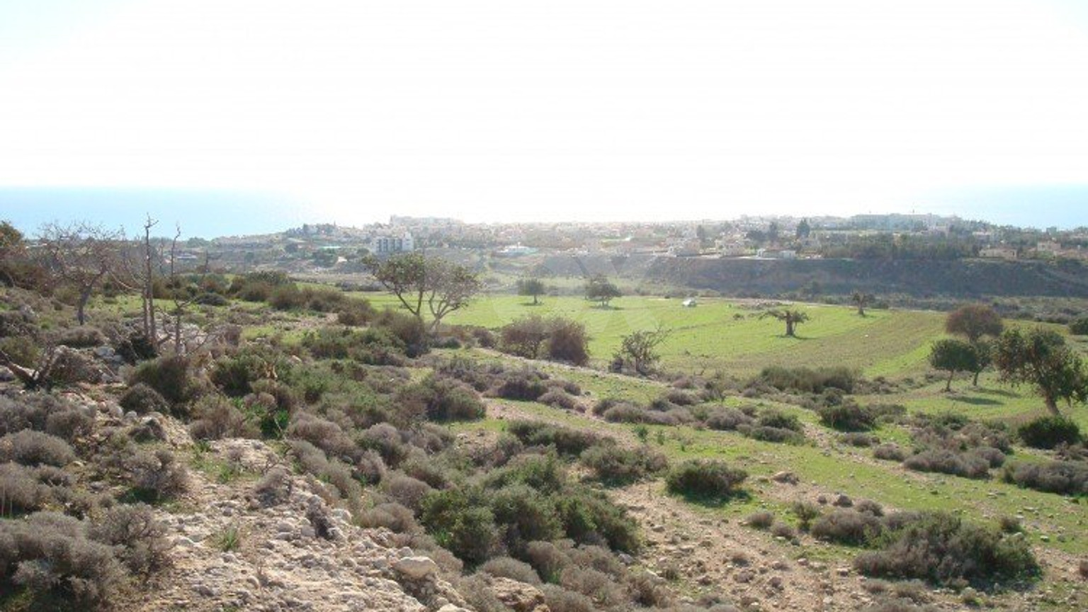 Land For Sale In Pegeia Paphos Cyprus