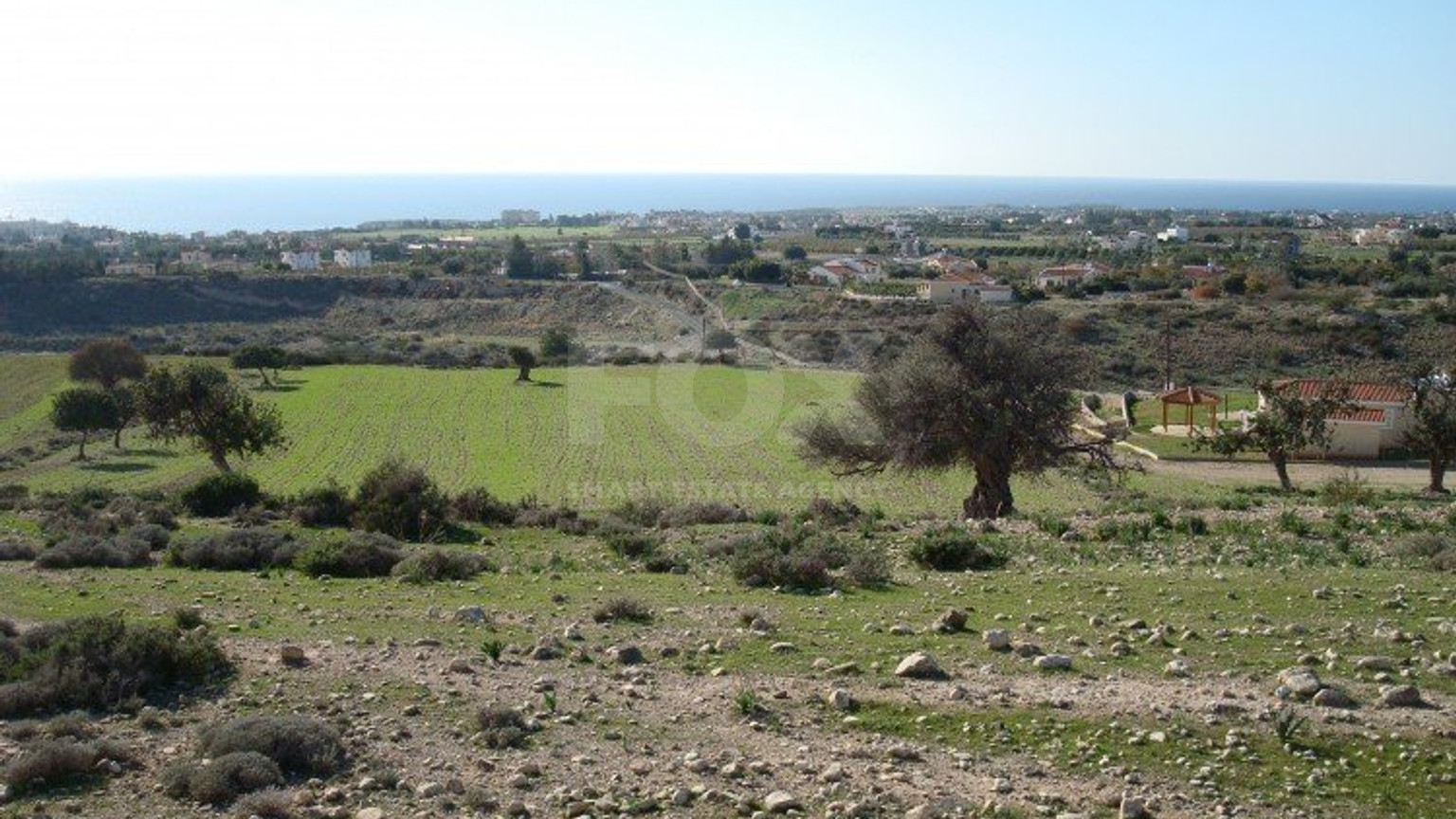 Land For Sale In Pegeia Paphos Cyprus
