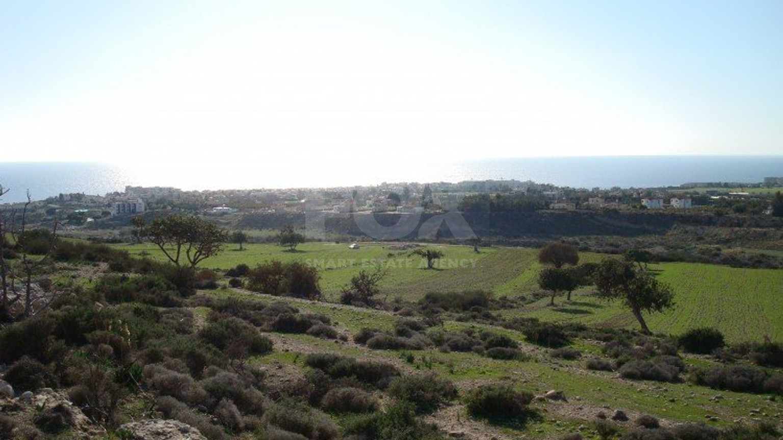Land For Sale In Pegeia Paphos Cyprus
