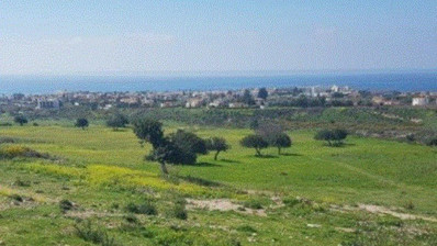 Land For Sale In Pegeia Paphos Cyprus