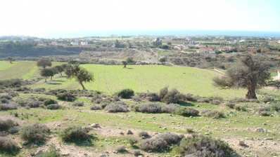 Land For Sale In Pegeia Paphos Cyprus