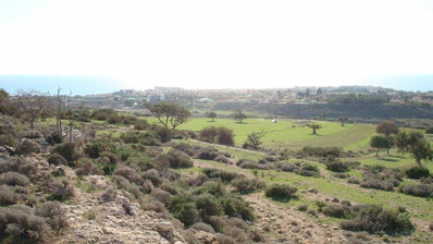 Land For Sale In Pegeia Paphos Cyprus
