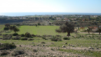 Land For Sale In Pegeia Paphos Cyprus