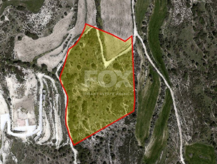 Land For Sale In Axylou Paphos Cyprus