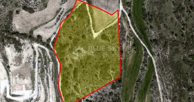 Land For Sale In Axylou Paphos Cyprus