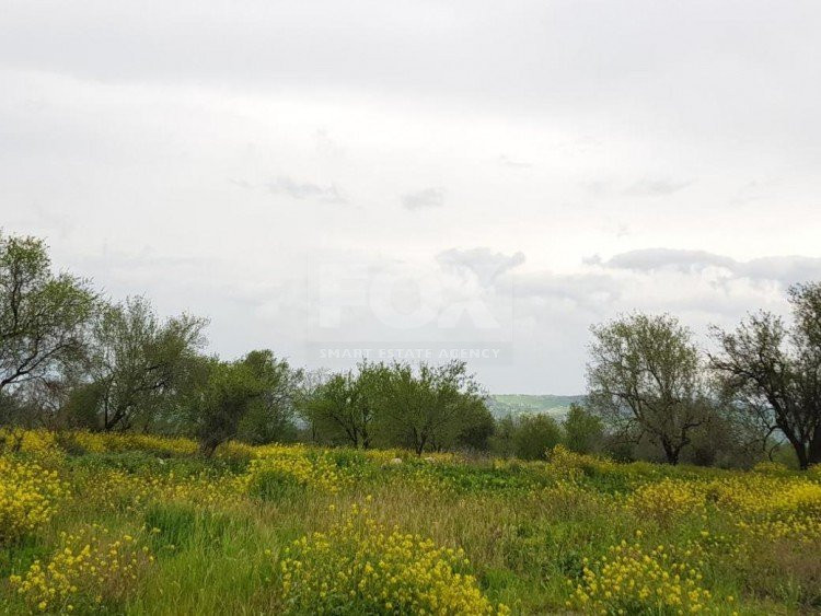 Plot For Sale In Lasa Paphos Cyprus