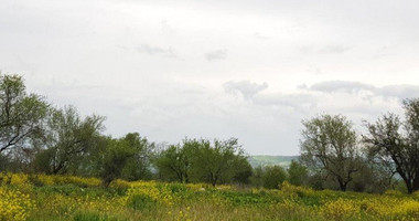 Plot For Sale In Lasa Paphos Cyprus