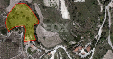 Land For Sale In Stroumpi Paphos Cyprus