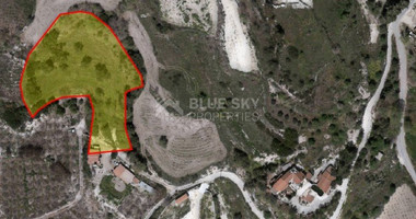 Land For Sale In Stroumpi Paphos Cyprus