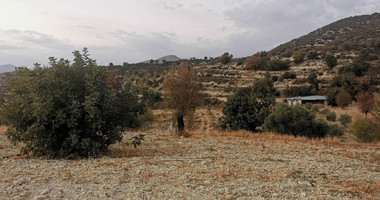 Land For Sale In Parekklisia Limassol Cyprus