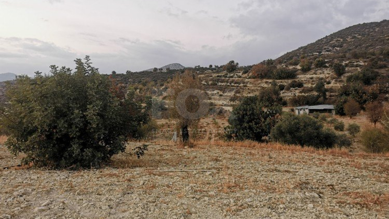 Land For Sale In Parekklisia Limassol Cyprus