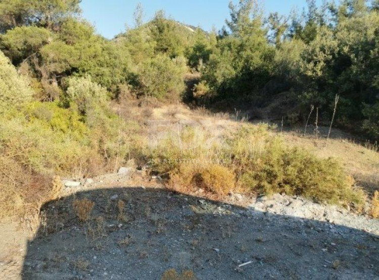 Land For Sale In Pyrgos Lemesou Limassol Cyprus