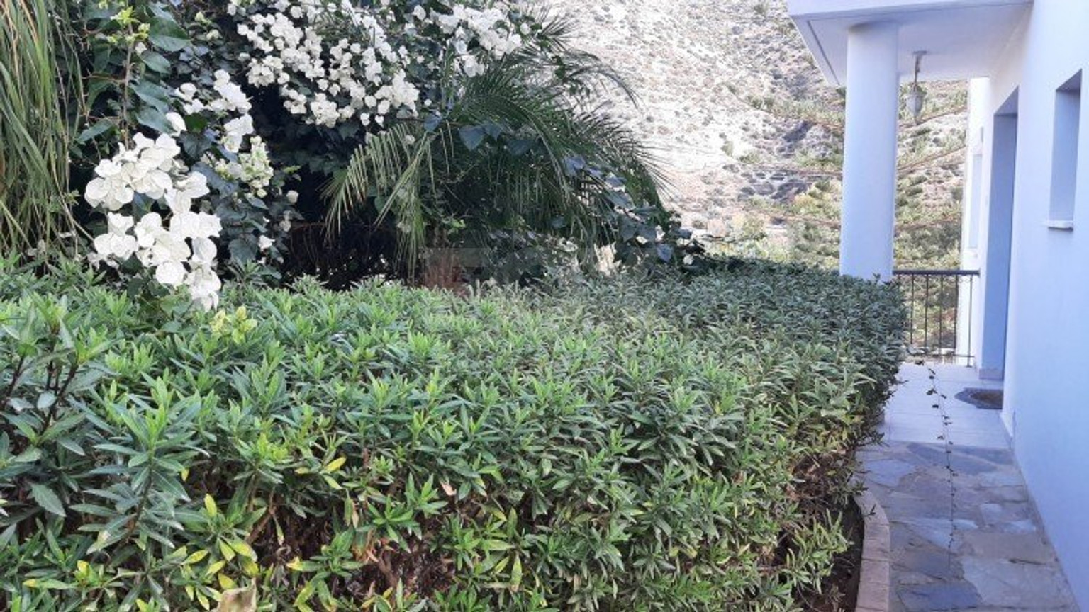3 Bed House For Sale In Germasogeia Limassol Cyprus