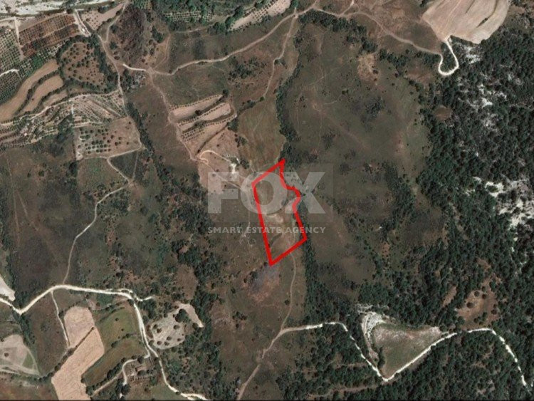 Land For Sale In Prastio Pafou Paphos Cyprus