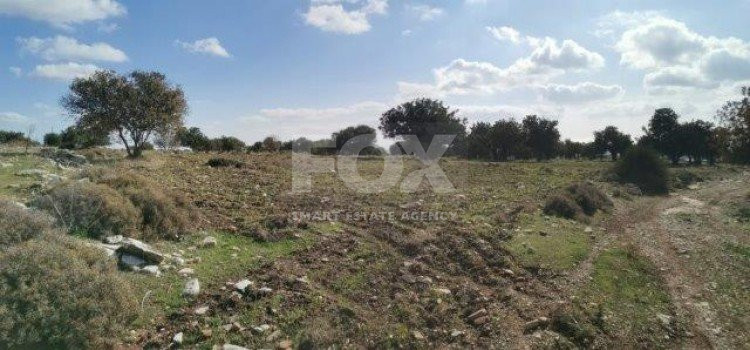 Land For Sale In Pachna Limassol Cyprus