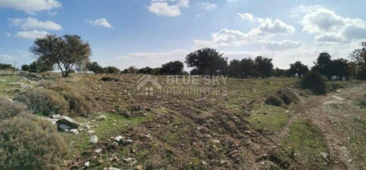 Land For Sale In Pachna Limassol Cyprus