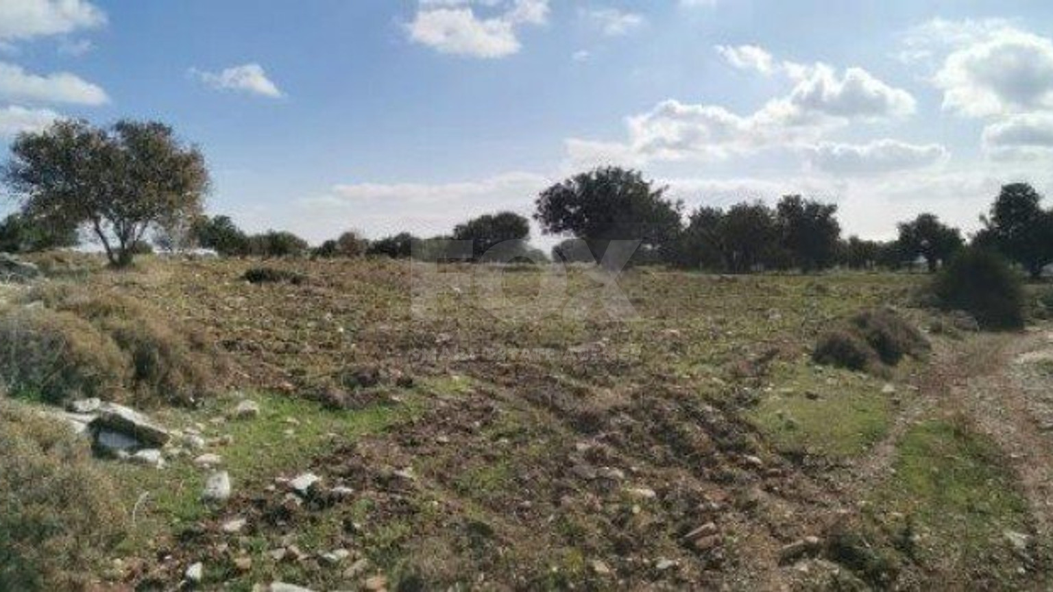 Land For Sale In Pachna Limassol Cyprus