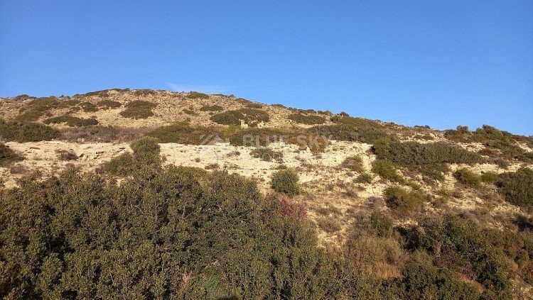 Land For Sale In Pissouri Limassol Cyprus