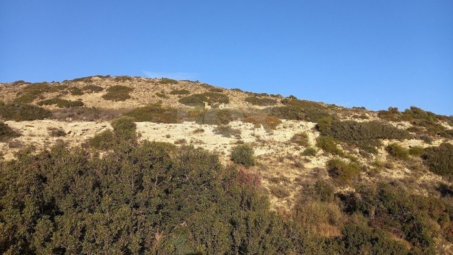 Land For Sale In Pissouri Limassol Cyprus