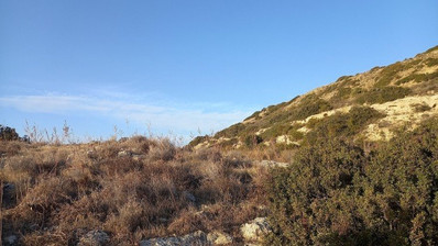 Land For Sale In Pissouri Limassol Cyprus
