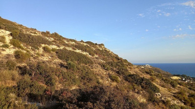 Land For Sale In Pissouri Limassol Cyprus