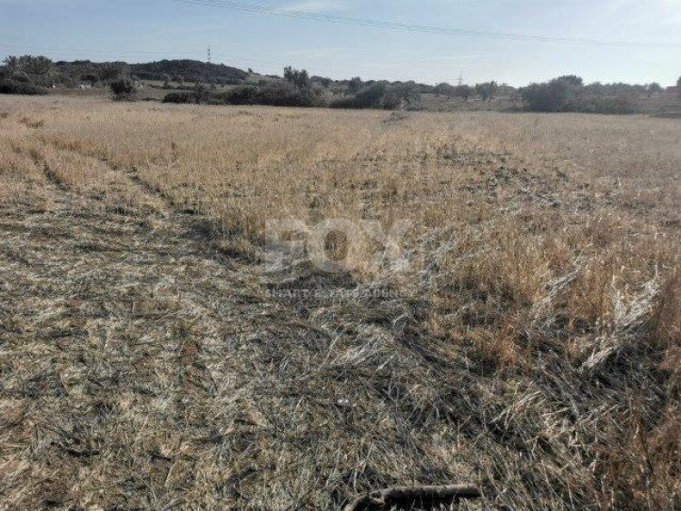 Land For Sale In Pachna Limassol Cyprus