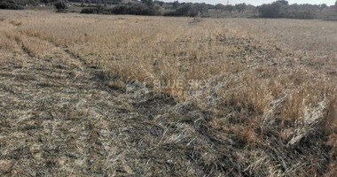 Land For Sale In Pachna Limassol Cyprus