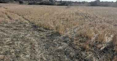 Land For Sale In Pachna Limassol Cyprus