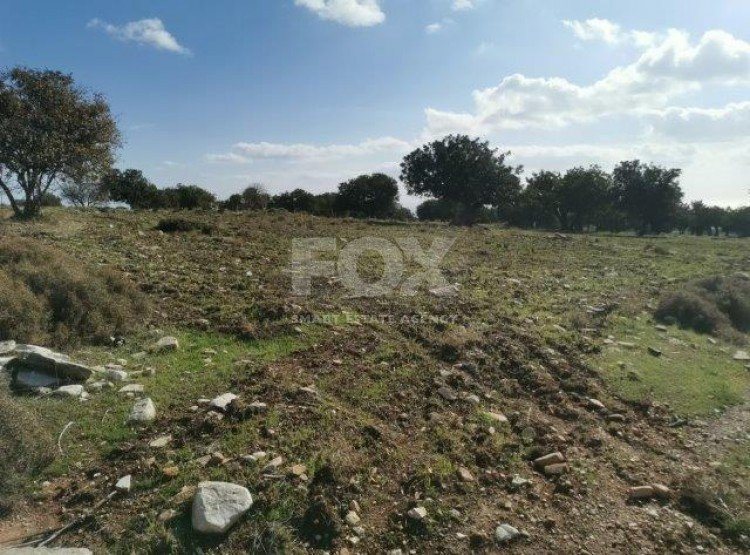 Land For Sale In Anogyra Limassol Cyprus