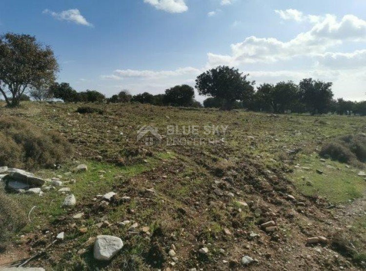 Land For Sale In Anogyra Limassol Cyprus