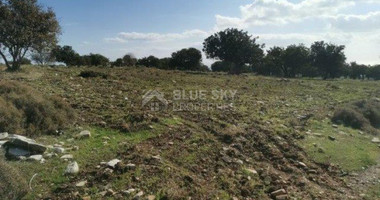 Land For Sale In Anogyra Limassol Cyprus