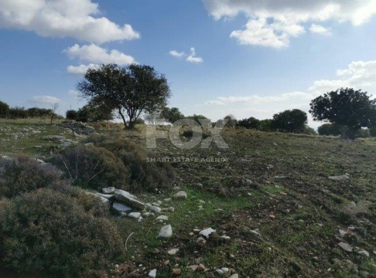 Land For Sale In Anogyra Limassol Cyprus