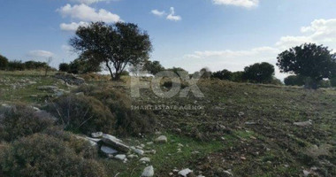 Land For Sale In Anogyra Limassol Cyprus