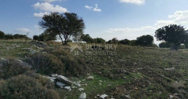 Land For Sale In Anogyra Limassol Cyprus