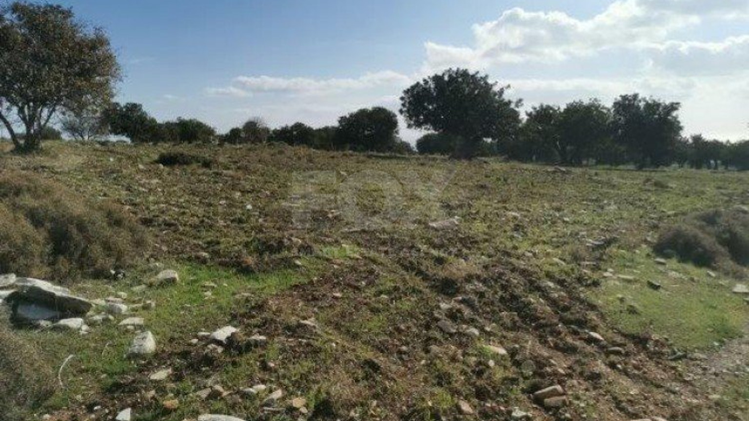 Land For Sale In Anogyra Limassol Cyprus
